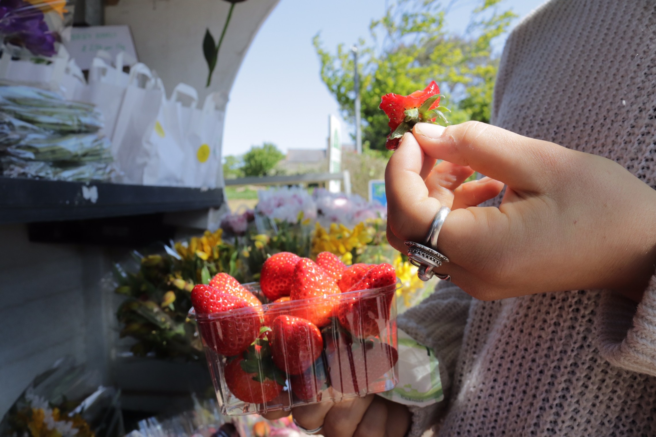 Purchasing Strawberries from a Roadside Stall
