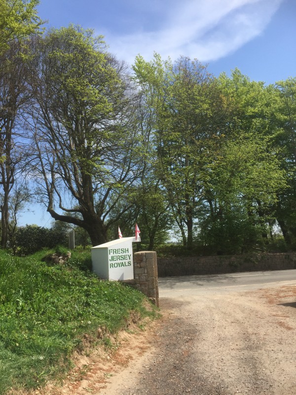 Jersey Royals Roadside Stall